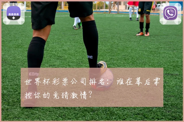 世界杯彩票公司排名：谁在幕后掌控你的竞猜激情？