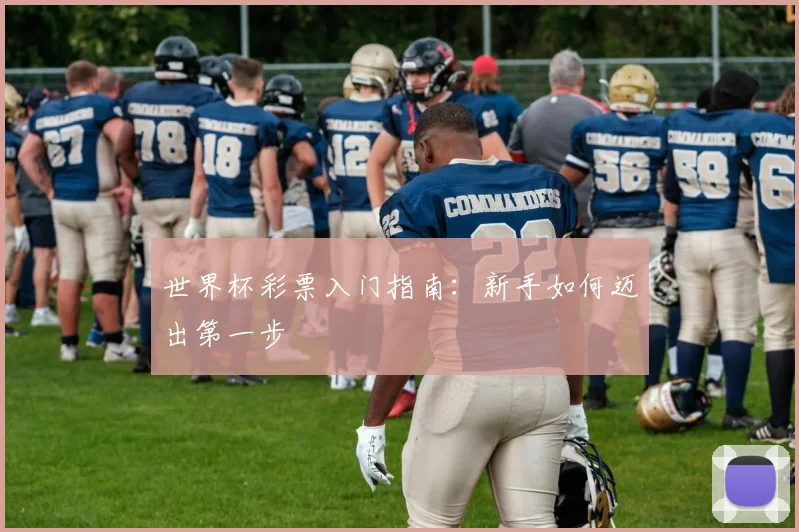世界杯彩票入门指南:新手如何迈出第一步