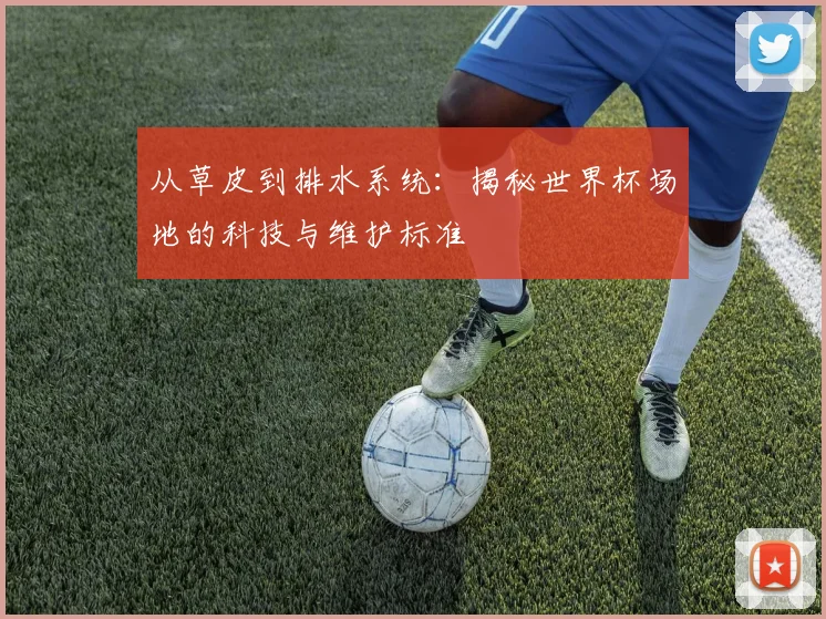 从草皮到排水系统：揭秘世界杯场地的科技与维护标准