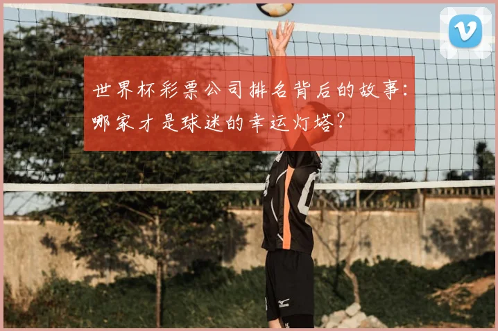世界杯彩票公司排名背后的故事:哪家才是球迷的幸运灯塔?