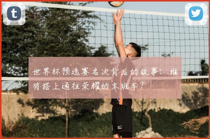 世界杯预选赛名次背后的故事：谁将搭上通往荣耀的末班车？