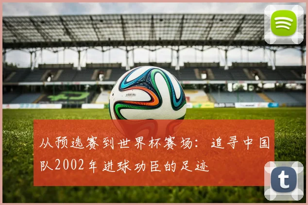 从预选赛到世界杯赛场:追寻中国队2002年进球功臣的足迹