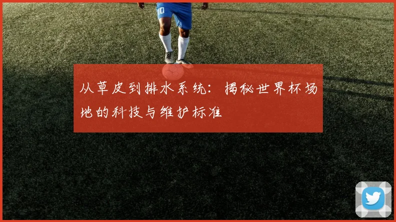 从草皮到排水系统:揭秘世界杯场地的科技与维护标准