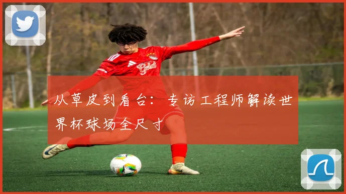 从草皮到看台:专访工程师解读世界杯球场全尺寸