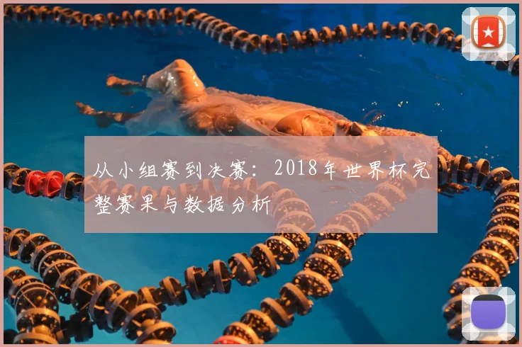 从小组赛到决赛:2018年世界杯完整赛果与数据分析