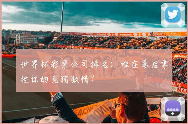 世界杯彩票公司排名：谁在幕后掌控你的竞猜激情？