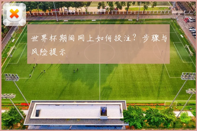 世界杯期间网上如何投注?步骤与风险提示
