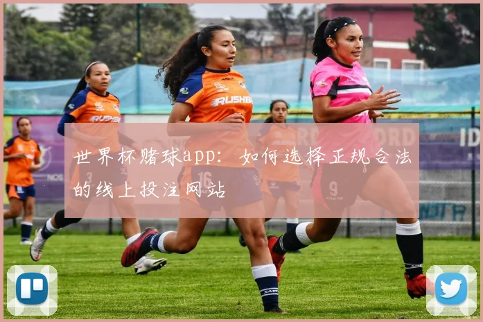 世界杯赌球app:如何选择正规合法的线上投注网站