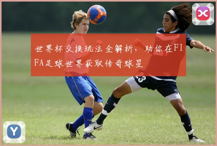 世界杯交换玩法全解析,助你在FIFA足球世界获取传奇球星