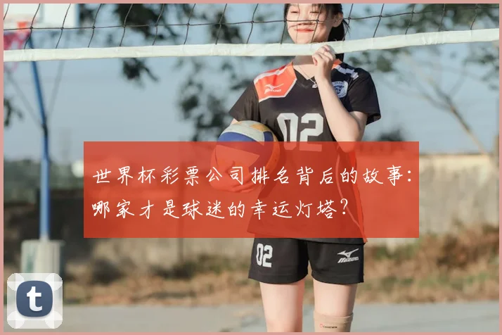 世界杯彩票公司排名背后的故事:哪家才是球迷的幸运灯塔?